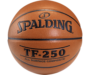 Spalding Basketball DBB TF 250