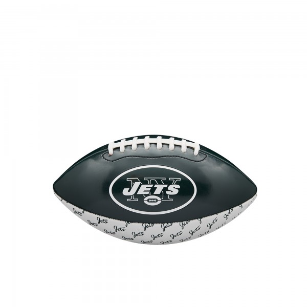 Wilson Football NFL Team Mini Peewee Logo