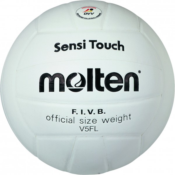 Molten Hallenvolleyball V5FL