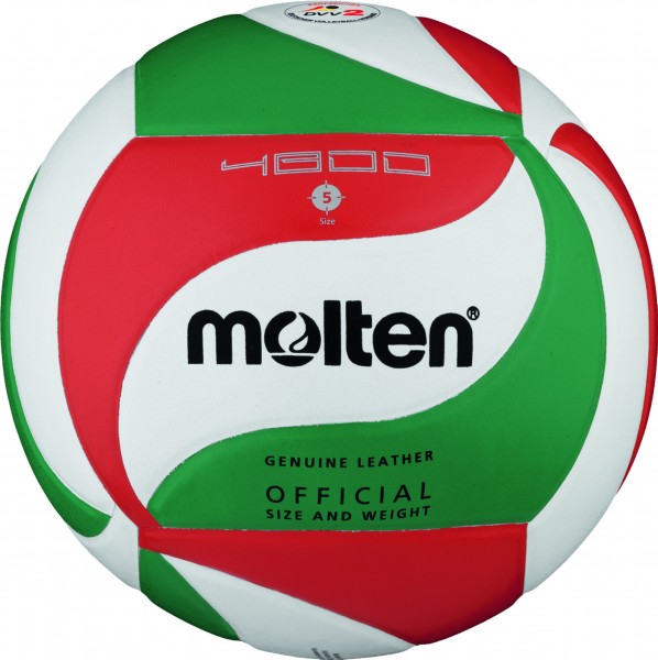 Molten Hallenvolleyball V5M4800