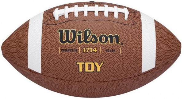 Wilson Football TDY Composite Youth Size WTF 1714X