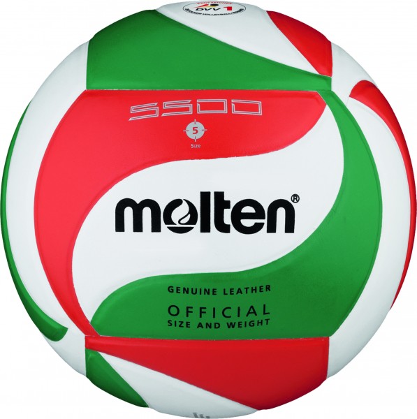 Molten Hallenvolleyball V5M5500