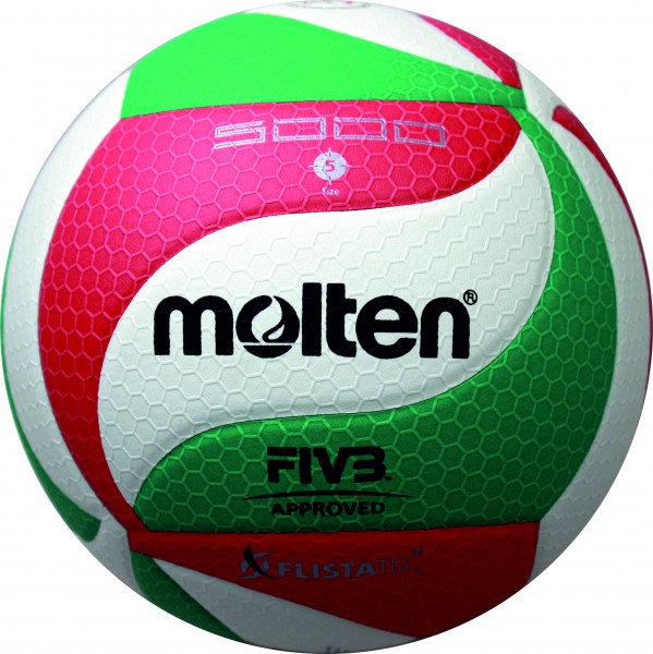 Molten Hallenvolleyball V5M5000-DE 10er Ballpaket inkl. Ballnetz